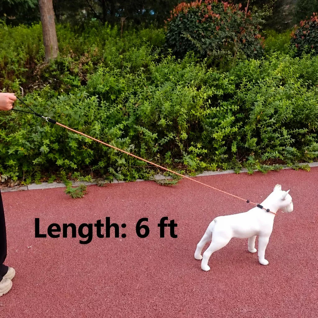 Nylon Rope-Style Dog Training Leash for Small and Medium Dogs