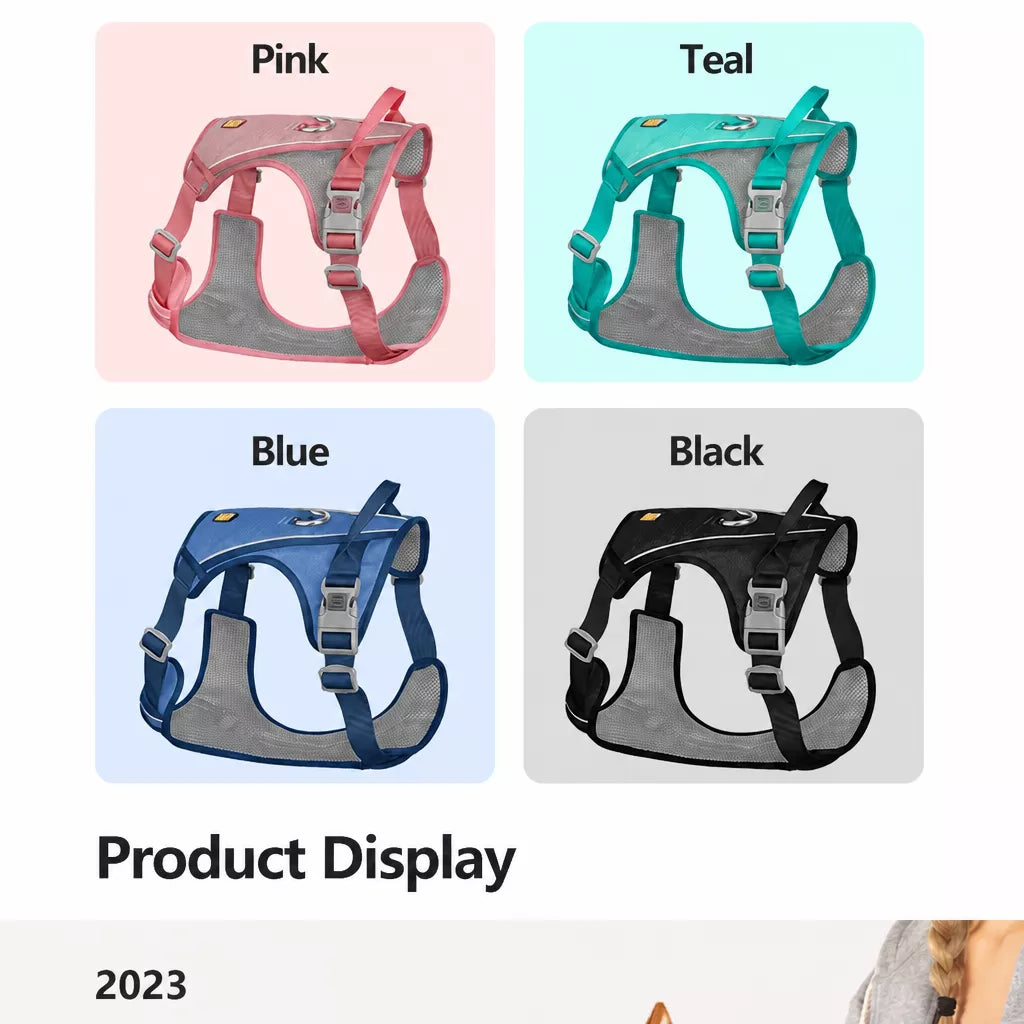 Lightweight Nylon Dog Harness and Leash Set