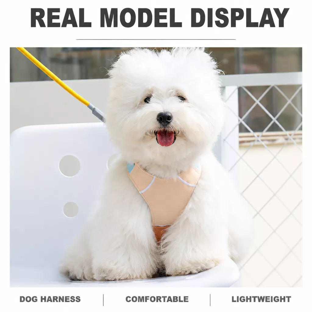 Vest-Style Dog Harness with Leash for Small to Medium Dogs