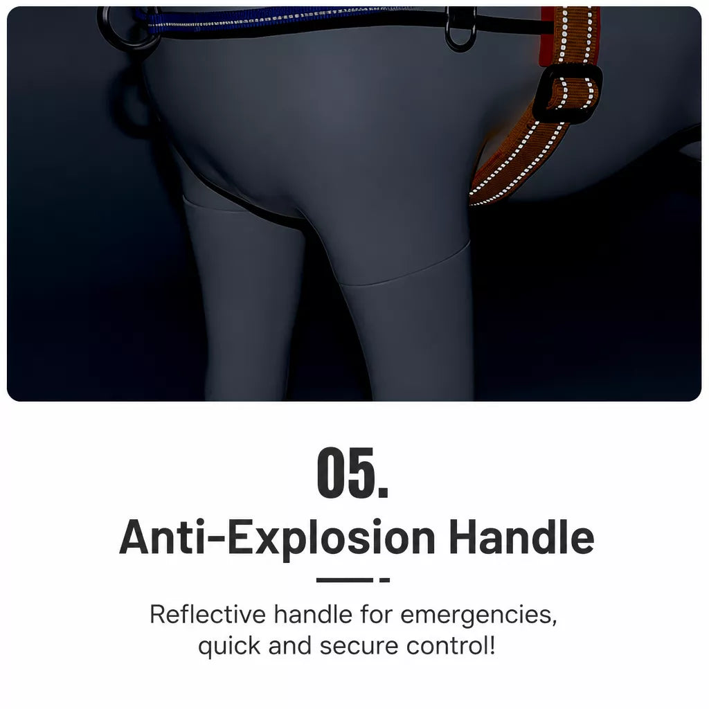 Nylon Round Dog Leash for Small to Medium Dogs
