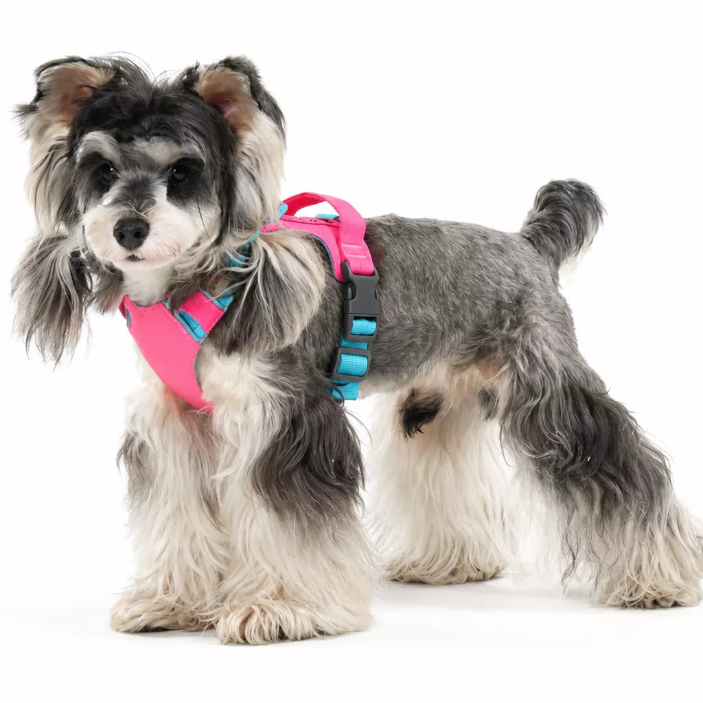 Adjustable Vest-Style Dog Harness with Leash for Walks