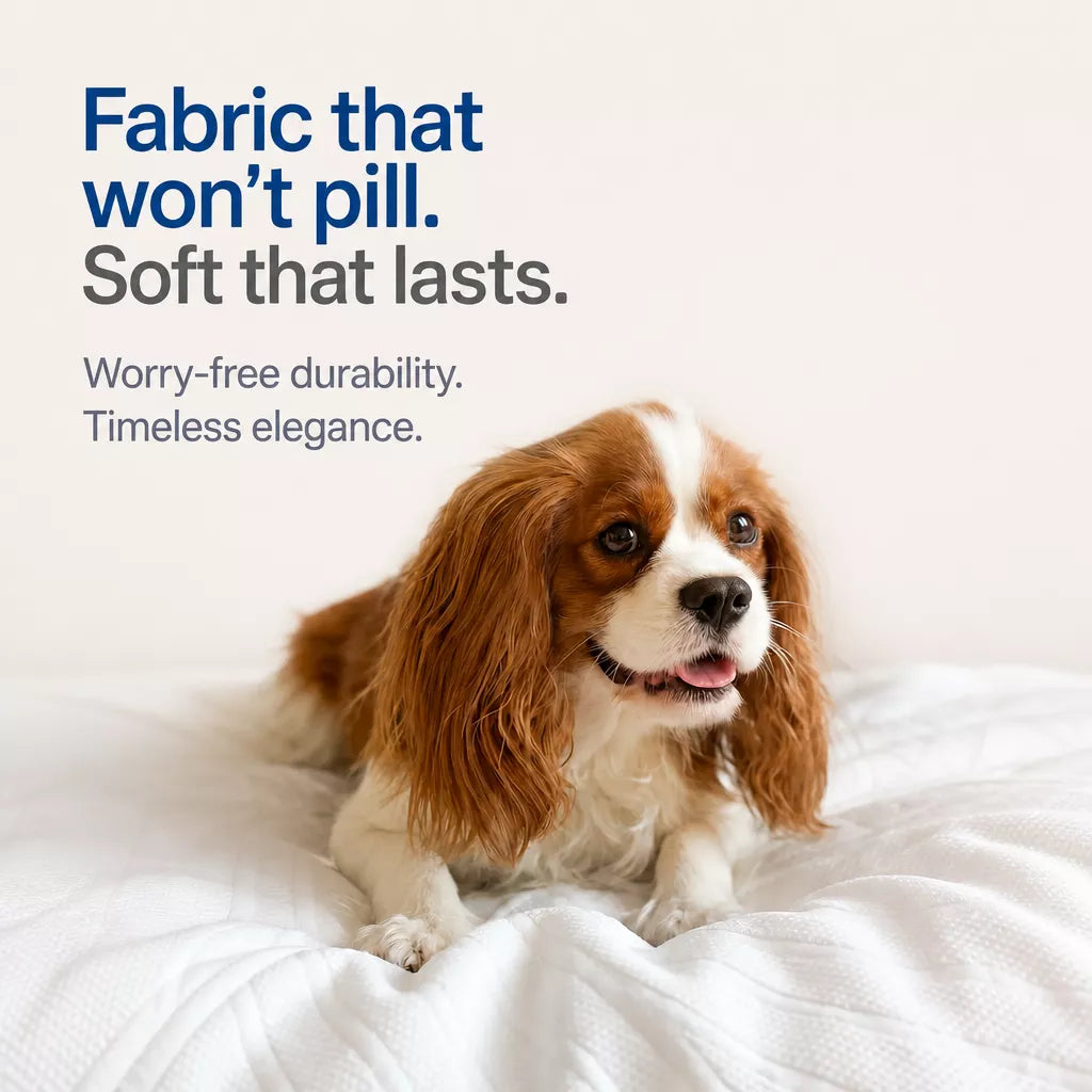 Memory Foam Pet Bed