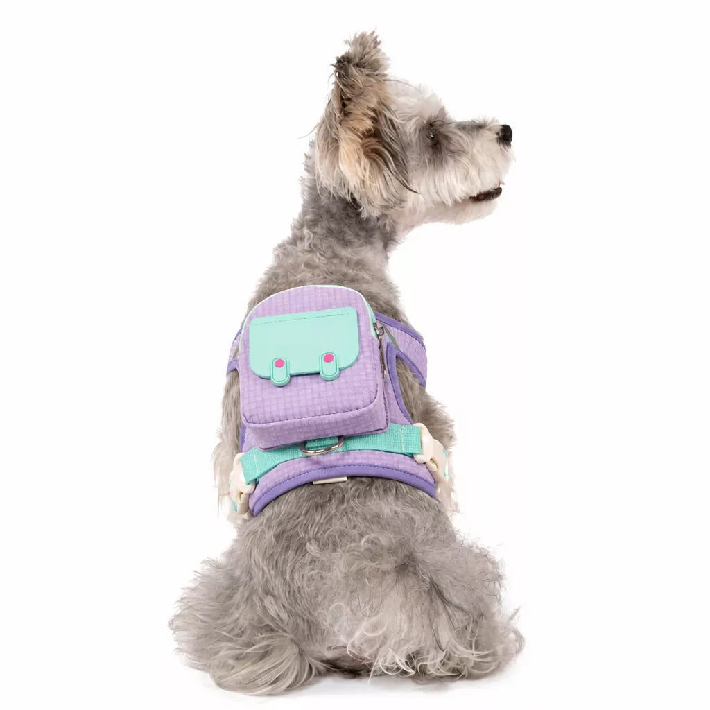 Pet Chest Carrier Bag for Dogs and Cats