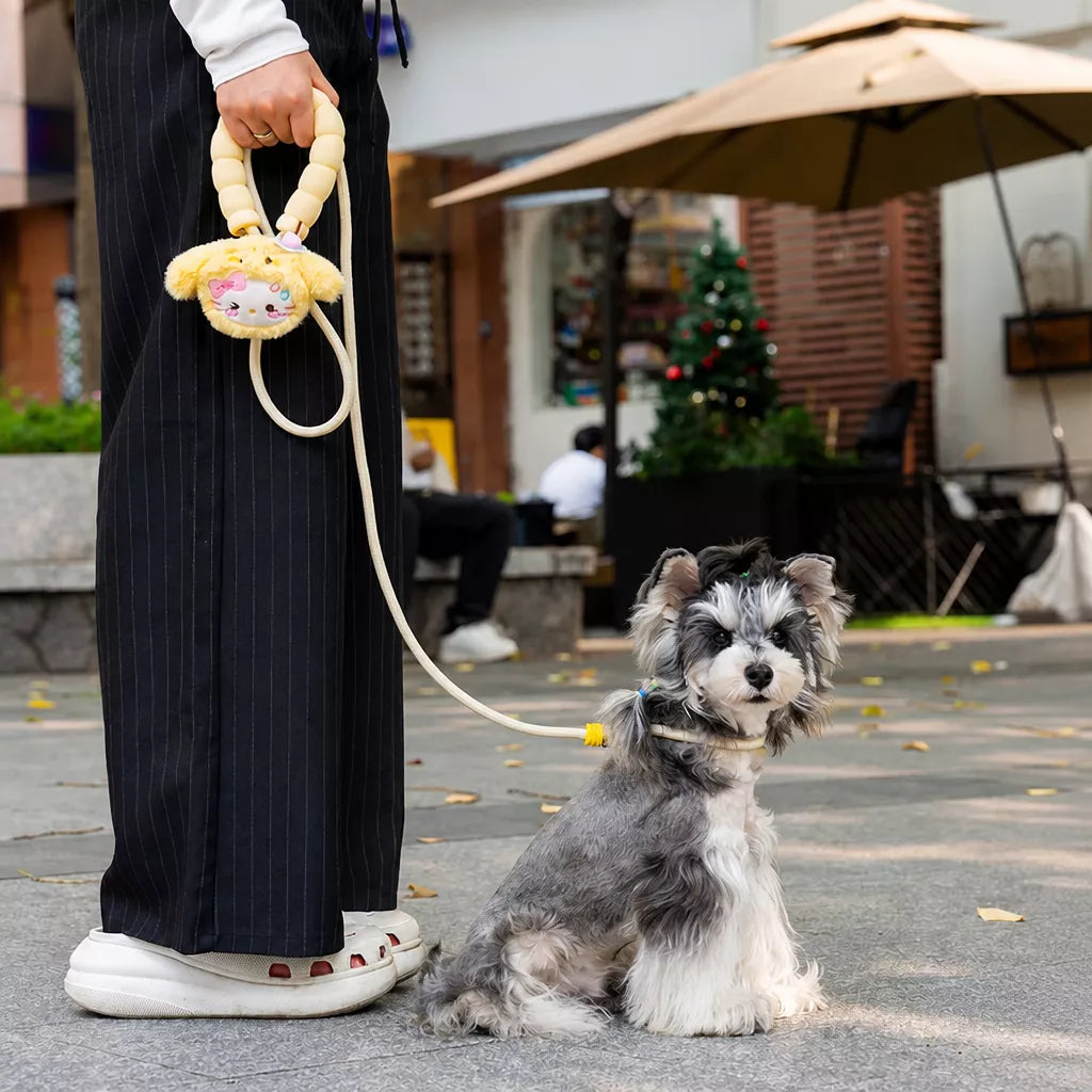 Nylon Slip Lead Dog Leash with Comfort Grip for Training