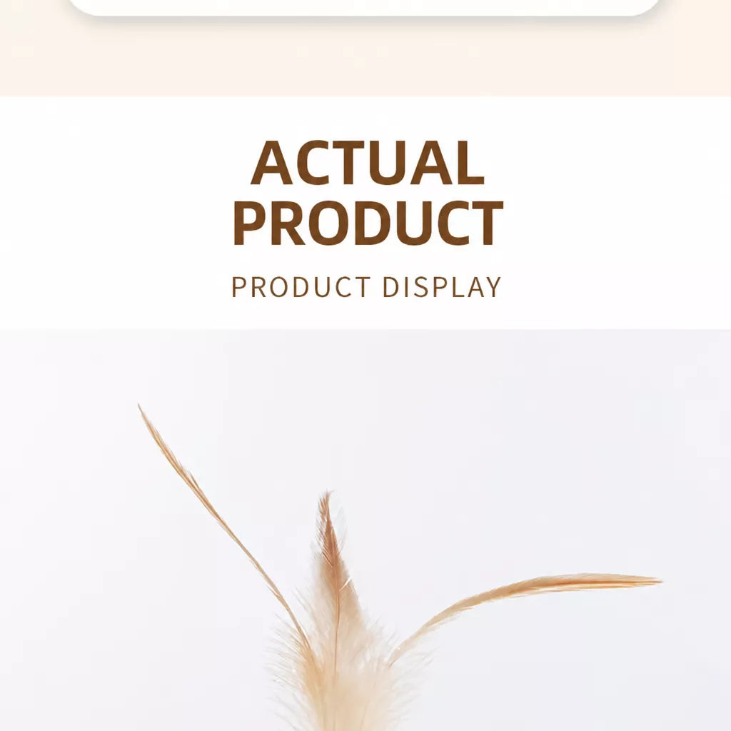 Cat Feather Ball Toy