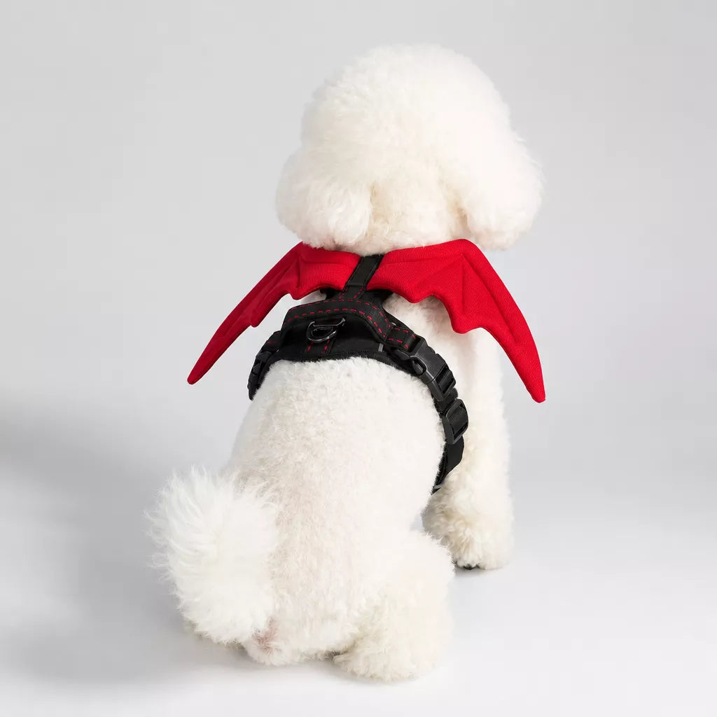 Wing-Detail Nylon Dog Harness