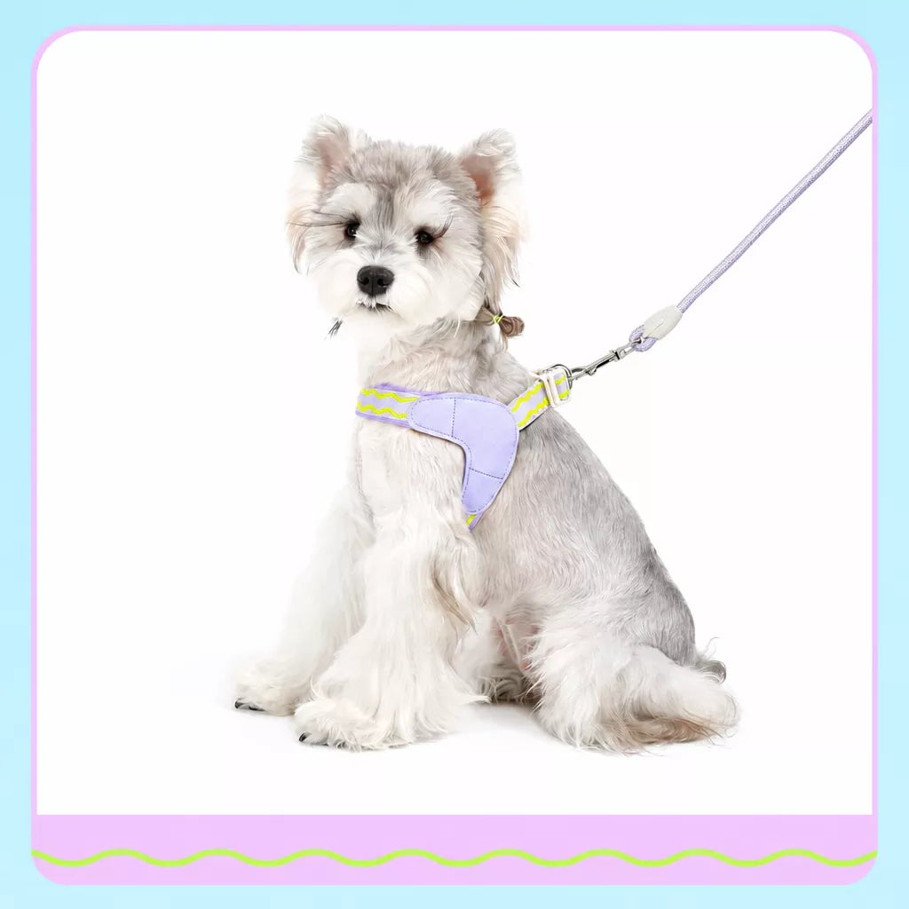 Y-Shaped Dog Harness and Leash for Small to Medium Dogs
