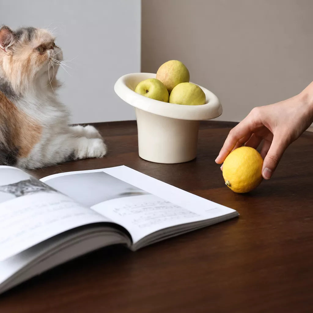 Fafa Ceramic Pet Bowl