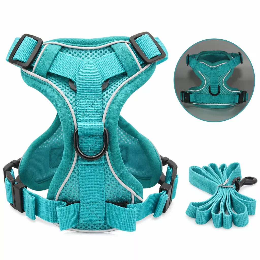 Cat Harness and Leash