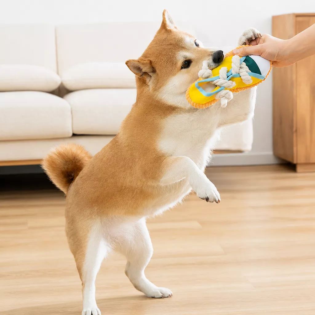 Squeaky Slipper Dog Toy in Oxford Cloth