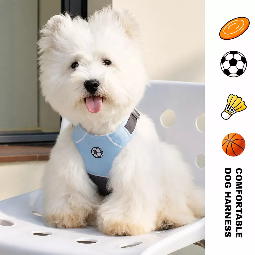 Vest-Style Dog Harness with Leash for Small to Medium Dogs
