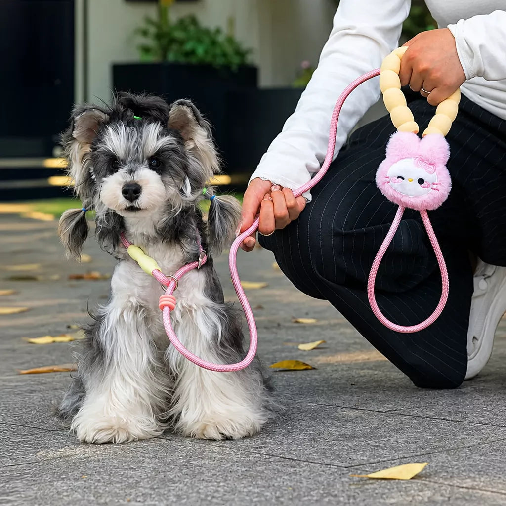 Nylon Slip Lead Dog Leash with Comfort Grip for Training