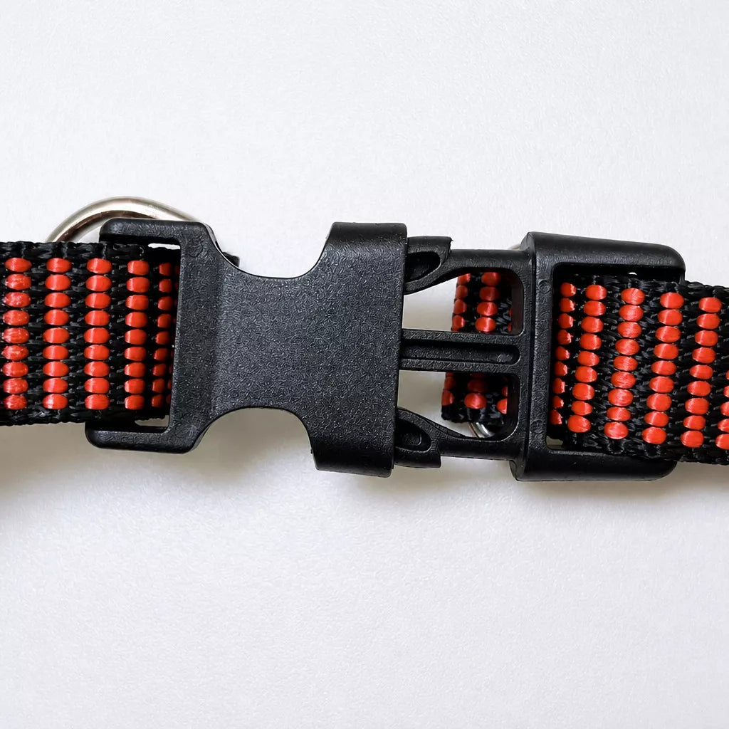Adjustable Nylon Dog Harness and Leash Set