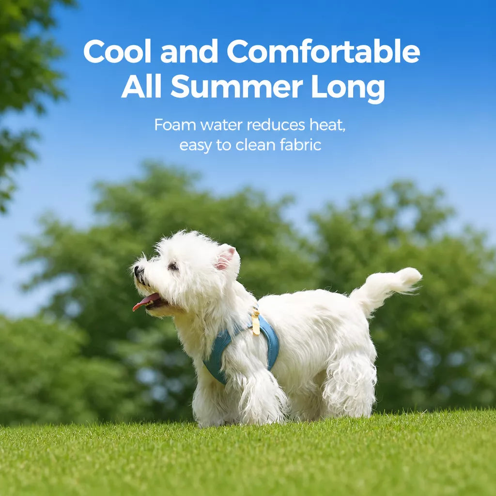 Adjustable Nylon Vest Harness for Small Dogs