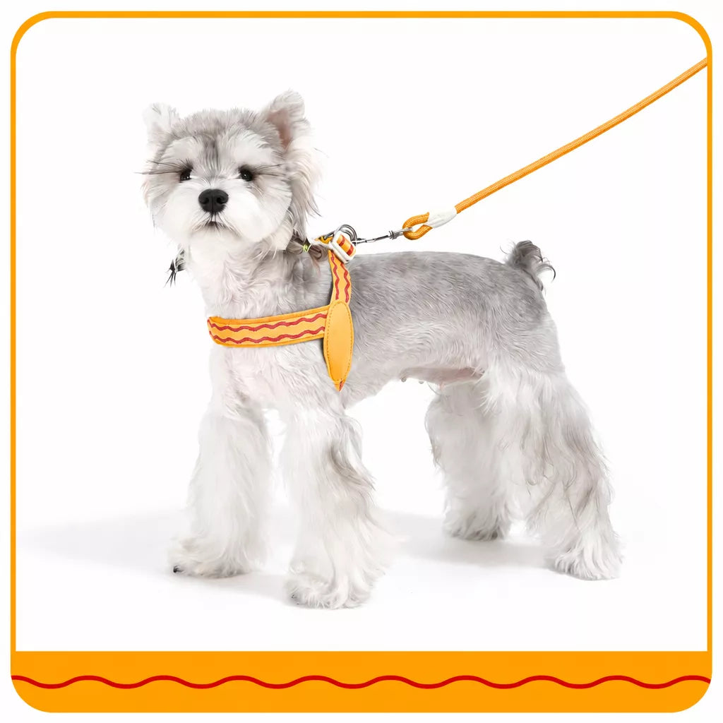 Y-Shaped Dog Harness and Leash for Small to Medium Dogs