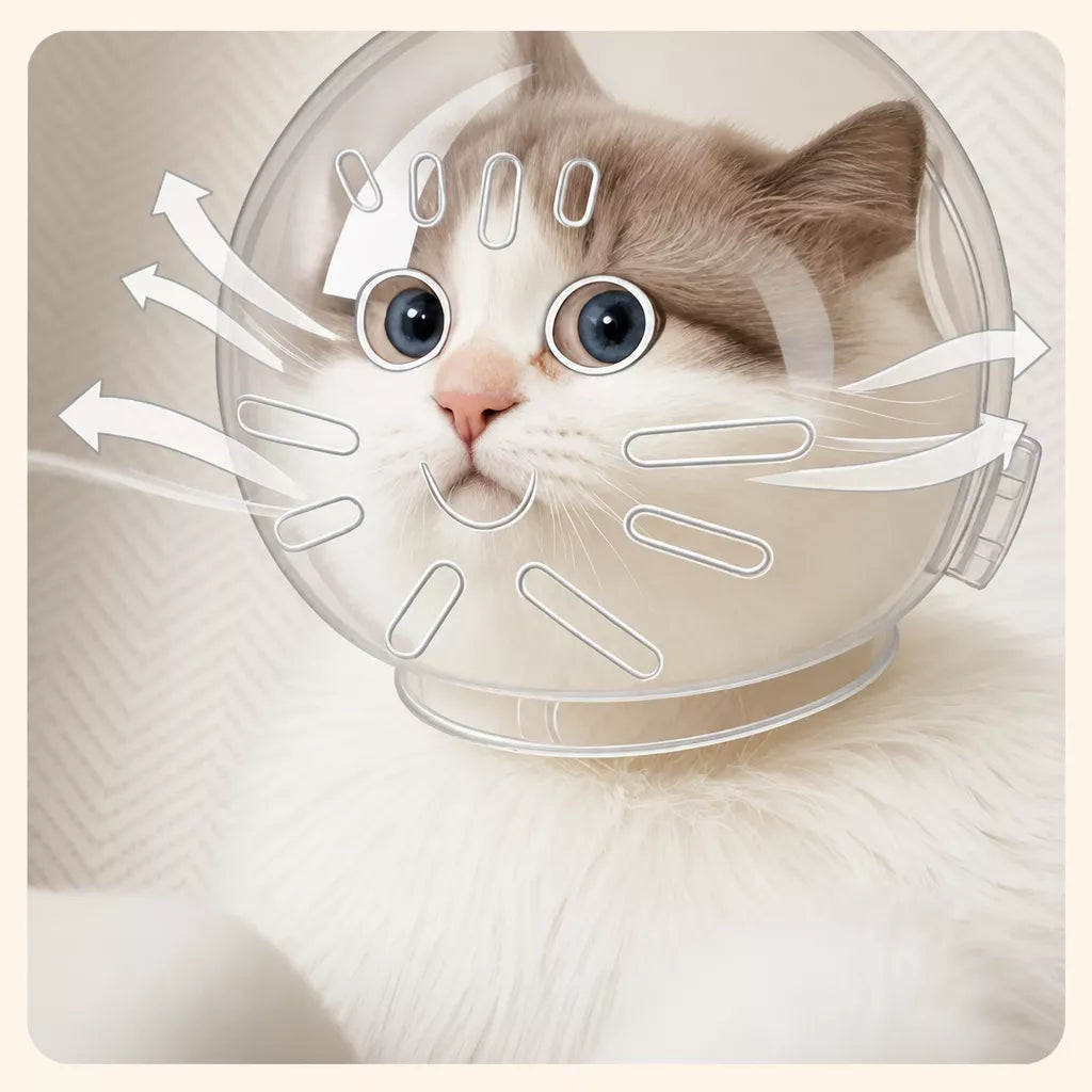 Clear Plastic Cat Elizabethan Collar