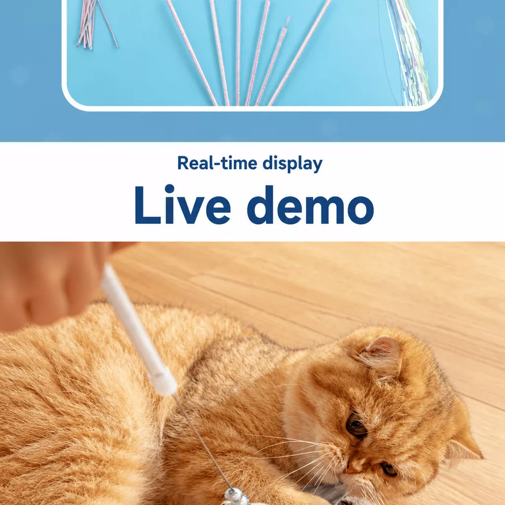 Feather Cat Teaser Wand Toy with Bell