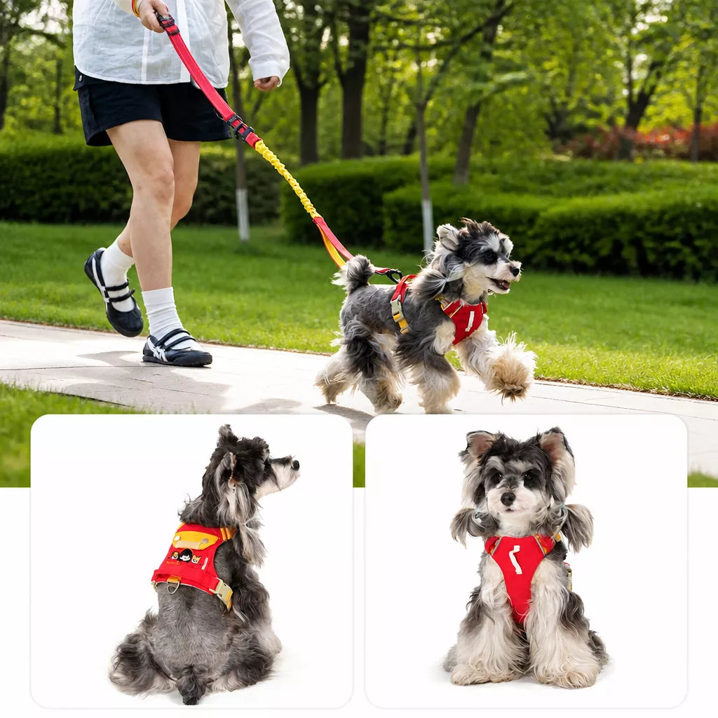 Adjustable Vest-Style Dog Harness with Leash for Walks