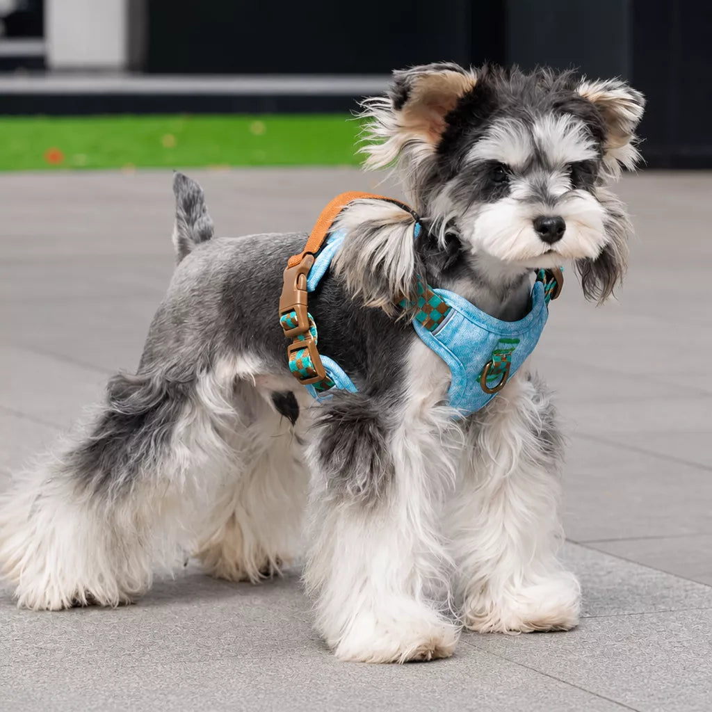 Adjustable Polyester Dog Vest Harness and Leash