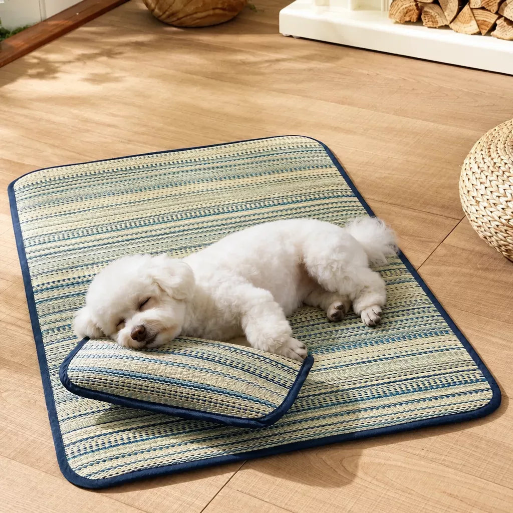 Silicone Pet Bed Mat