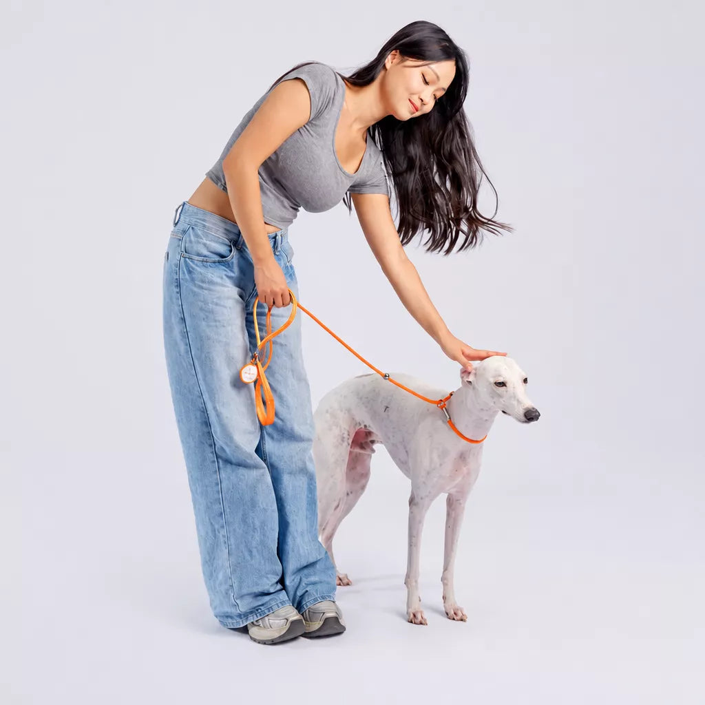 Integrated Slip Lead Dog Leash with Close-Control Handle