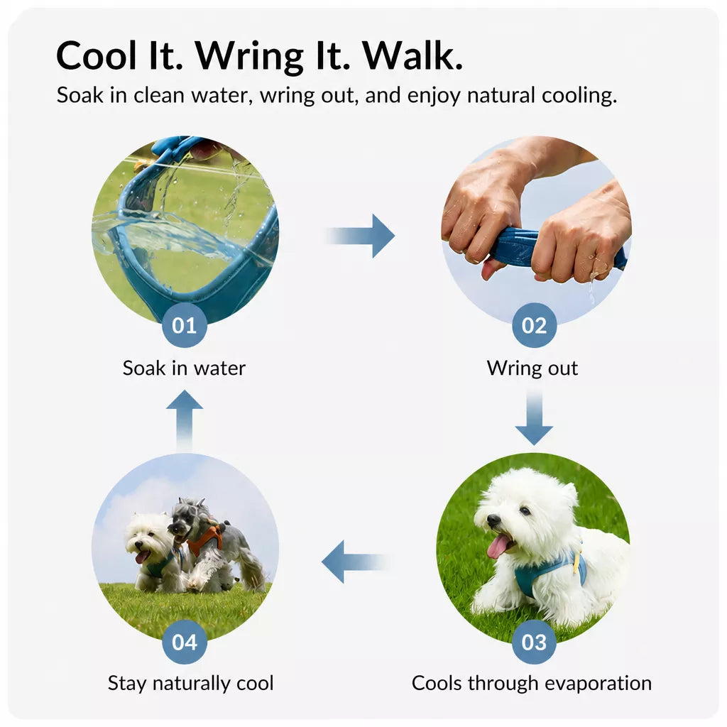 Adjustable Nylon Vest Harness for Small Dogs