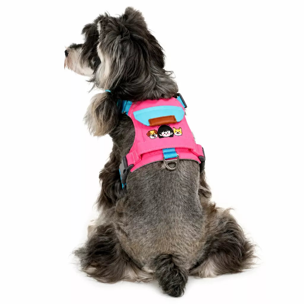 Adjustable Vest-Style Dog Harness with Leash for Walks