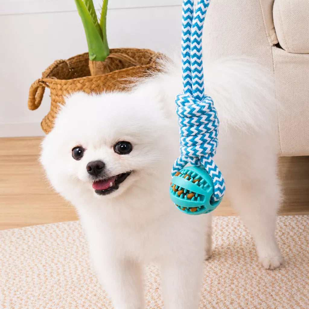 Knotted Rope Dog Toy for Tug, Fetch & Chew Play