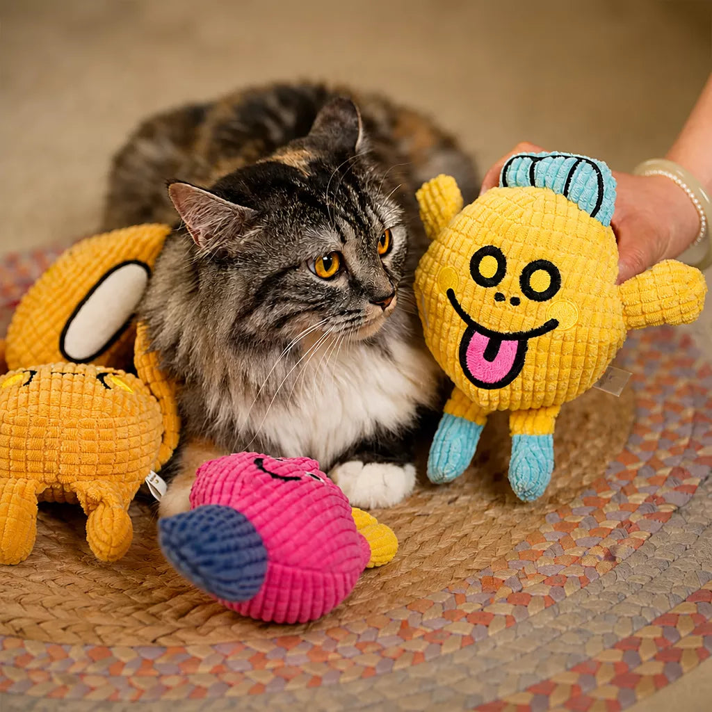 Waffle Plush Cat Toy with Crinkle Sound & Catnip