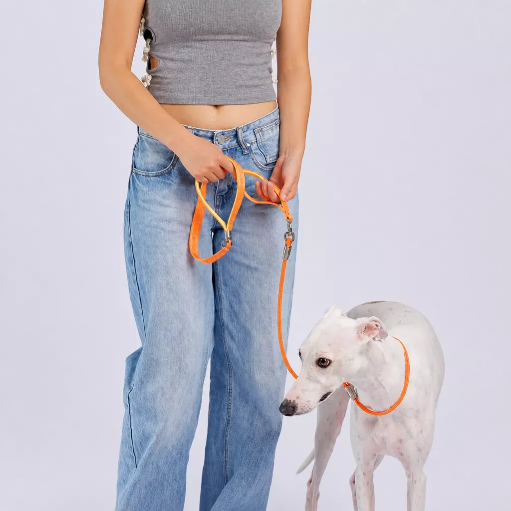 Integrated Slip Lead Dog Leash with Close-Control Handle
