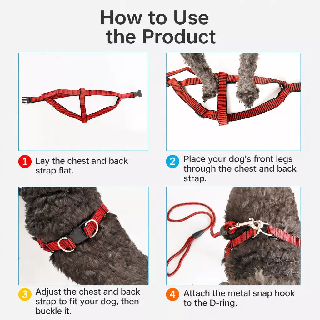 Adjustable Nylon Dog Harness and Leash Set