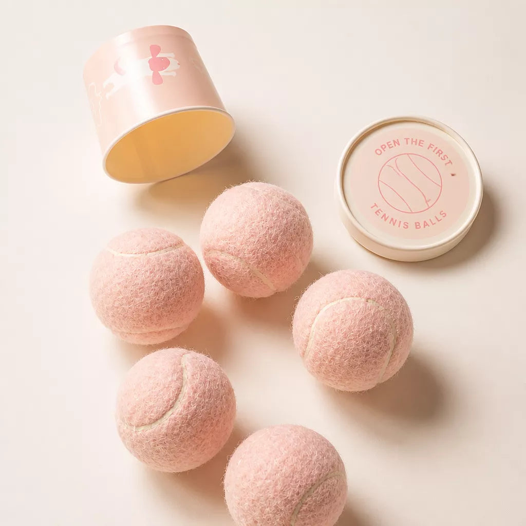 Ice Cream-Style Interactive Dog Ball with Storage Box