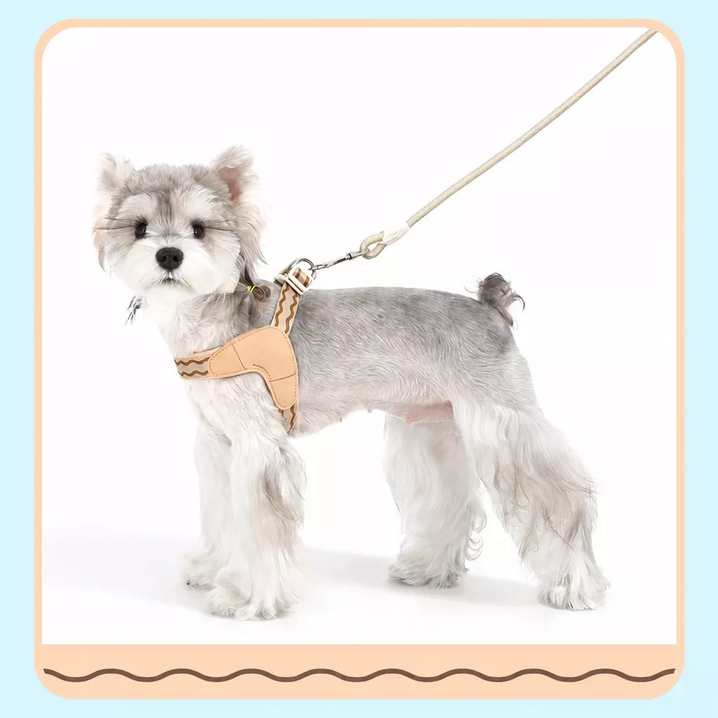 Y-Shaped Dog Harness and Leash for Small to Medium Dogs