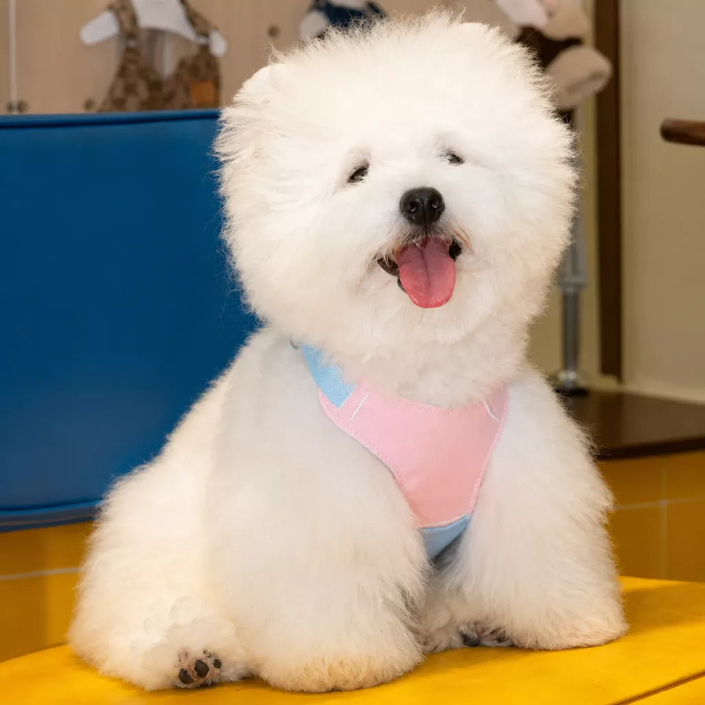 Vest-Style Dog Harness with Leash for Small to Medium Dogs