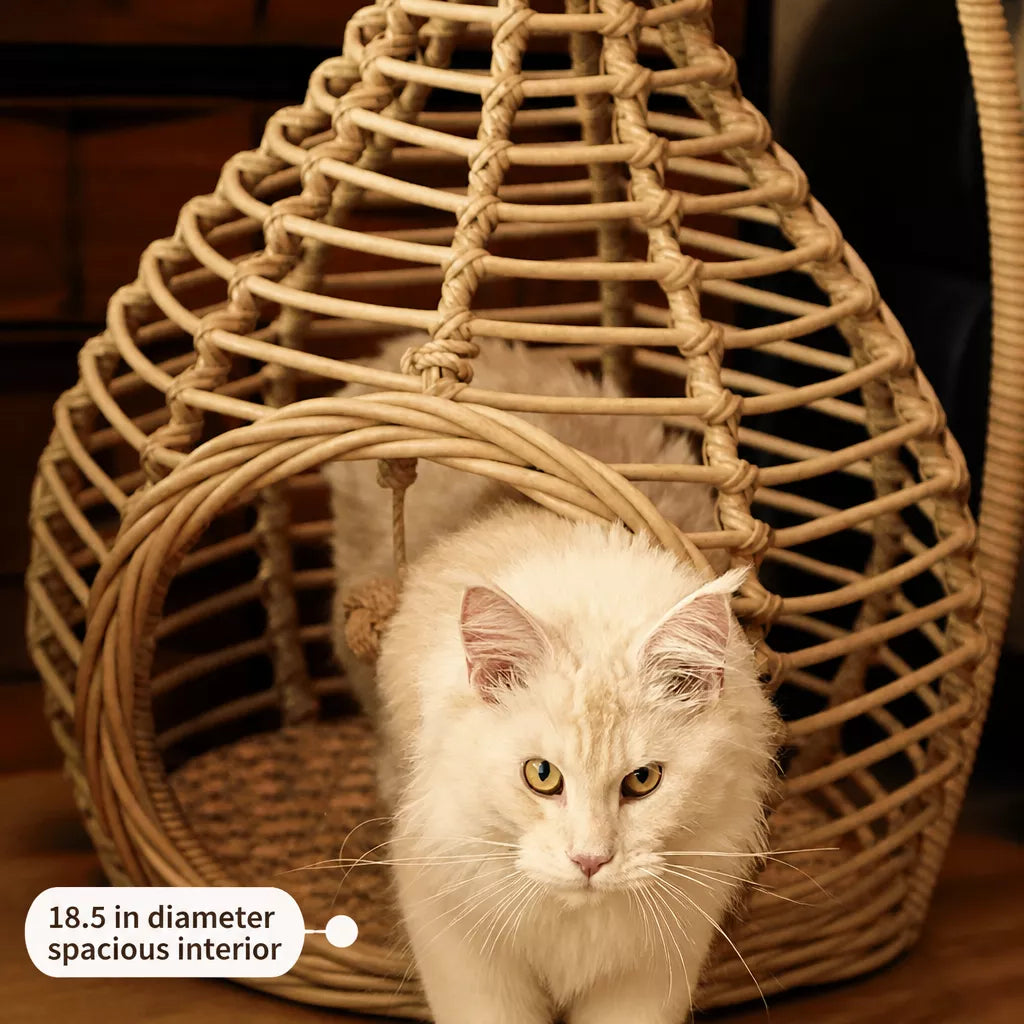 Handwoven Rattan Hanging Pet Bed with Cushion