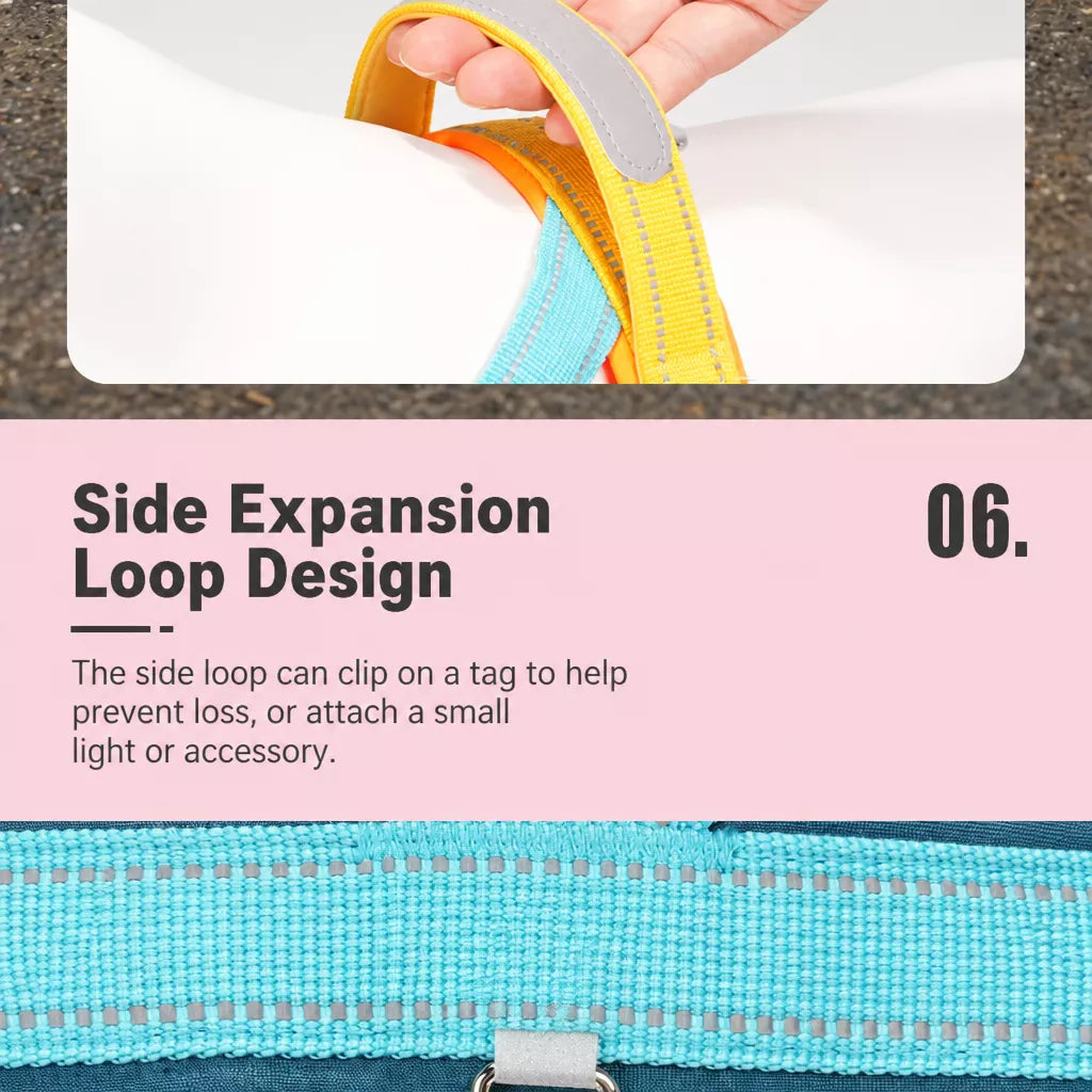 Nylon Round Dog Leash for Small to Medium Dogs