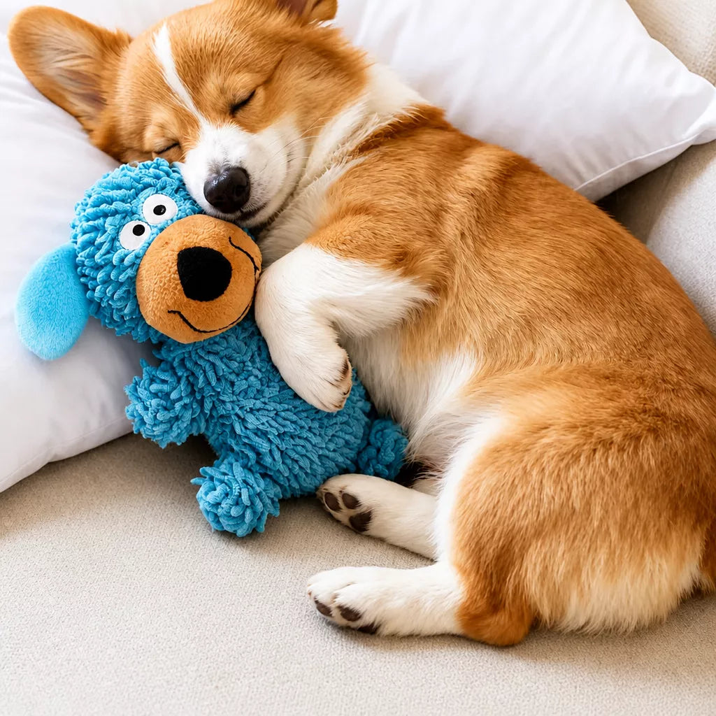 Squeaky Chew Toy for Small and Medium Dogs