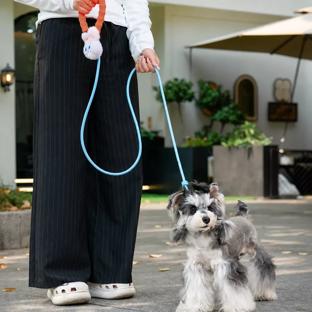 Nylon Slip Lead Dog Leash with Comfort Grip for Training