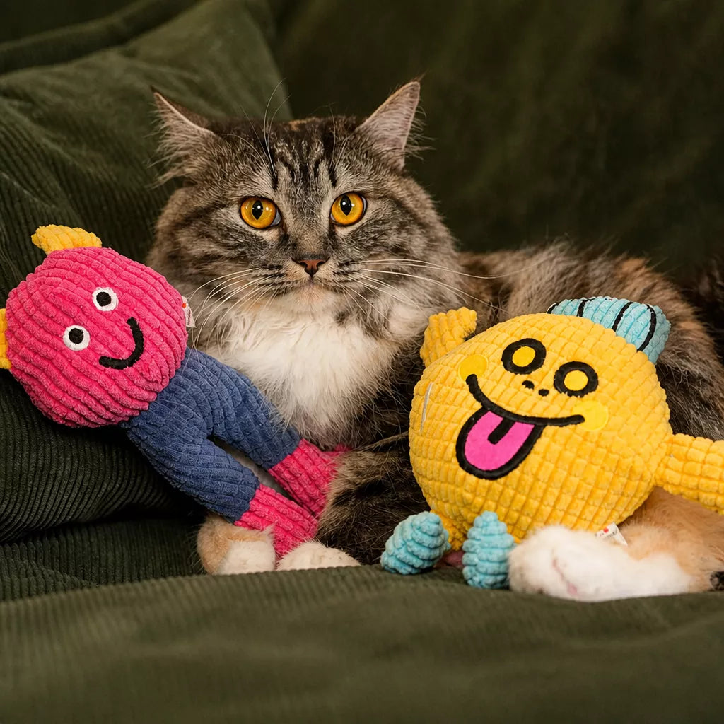 Waffle Plush Cat Toy with Crinkle Sound & Catnip