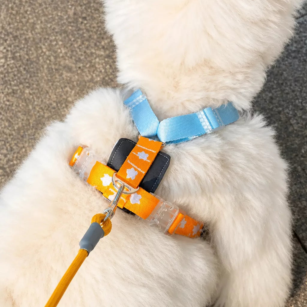 Vest-Style Dog Harness with Leash for Small to Medium Dogs