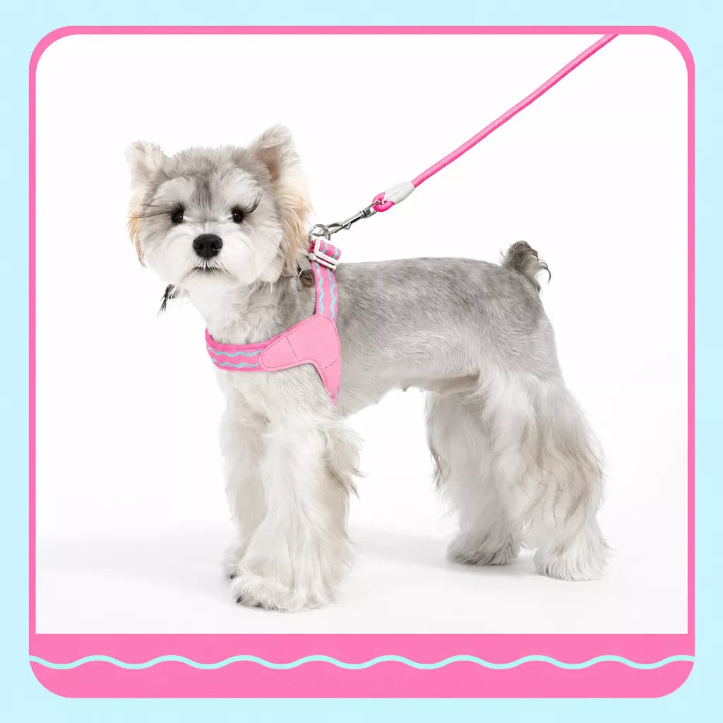 Y-Shaped Dog Harness and Leash for Small to Medium Dogs