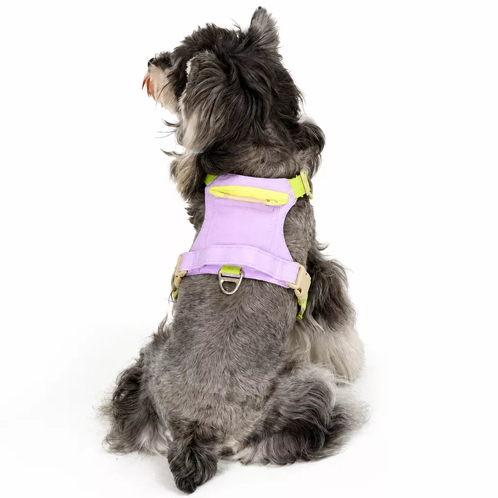 Adjustable Vest-Style Dog Harness with Leash for Walks