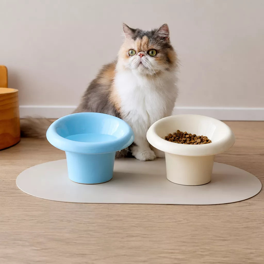Fafa Ceramic Pet Bowl