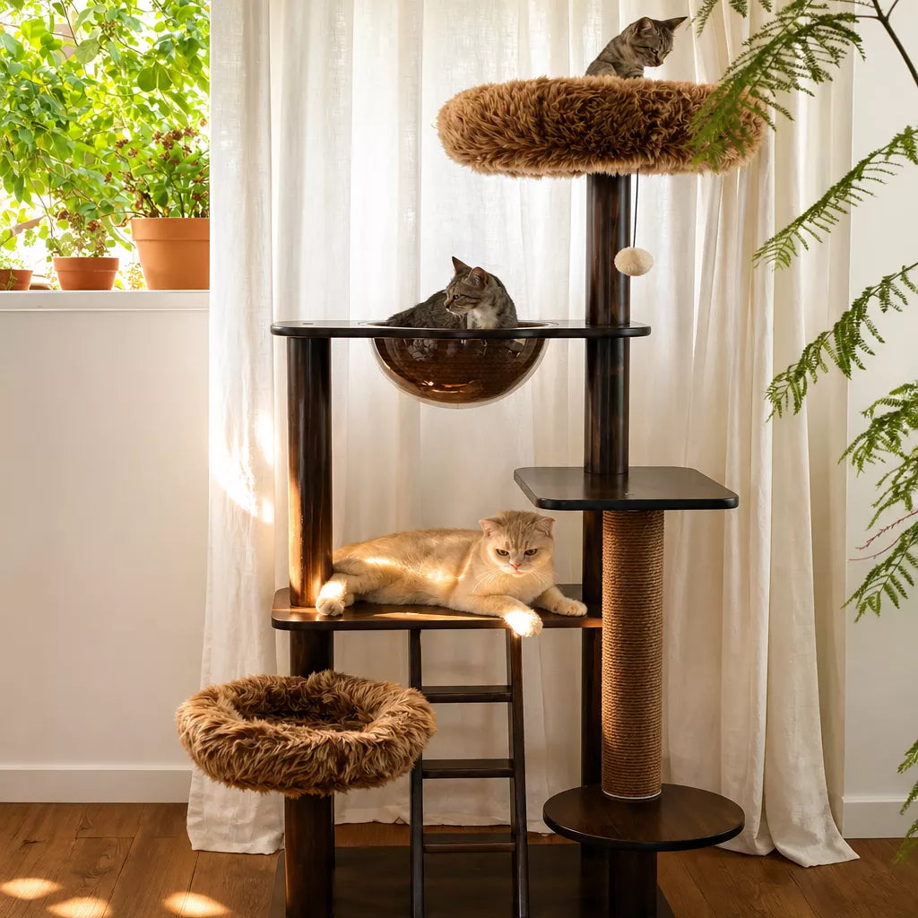 Wooden Cat Tree with Enclosed Hideaway and Removable Washable Parts