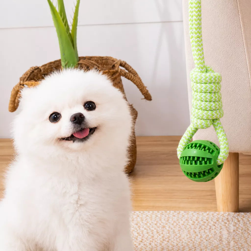 Knotted Rope Dog Toy for Tug, Fetch & Chew Play
