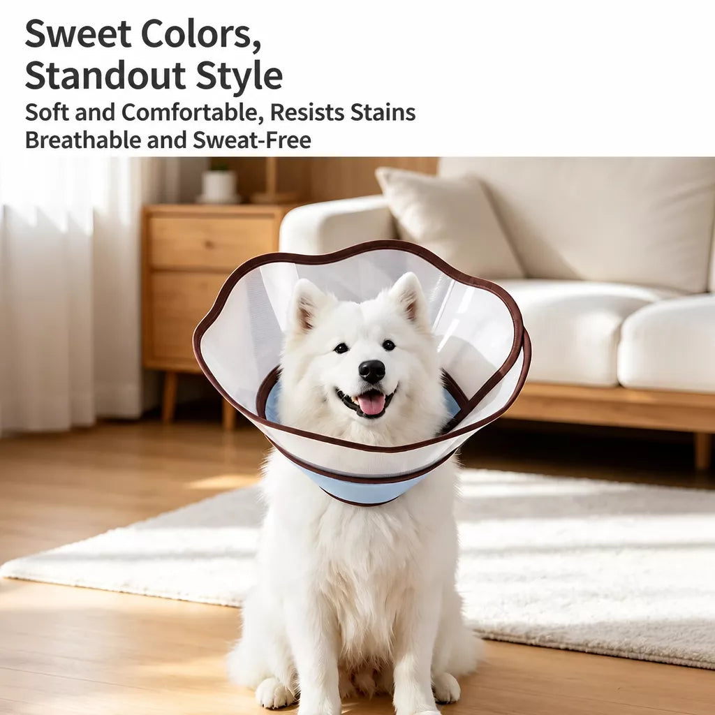 Plastic Recovery Cone for Dogs
