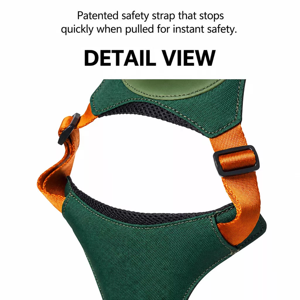 Nylon Dog Harness and Leash Set