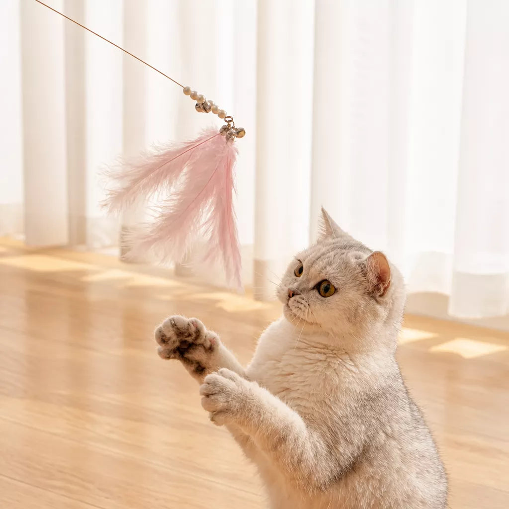 Feather Cat Teaser Wand Toy with Bell