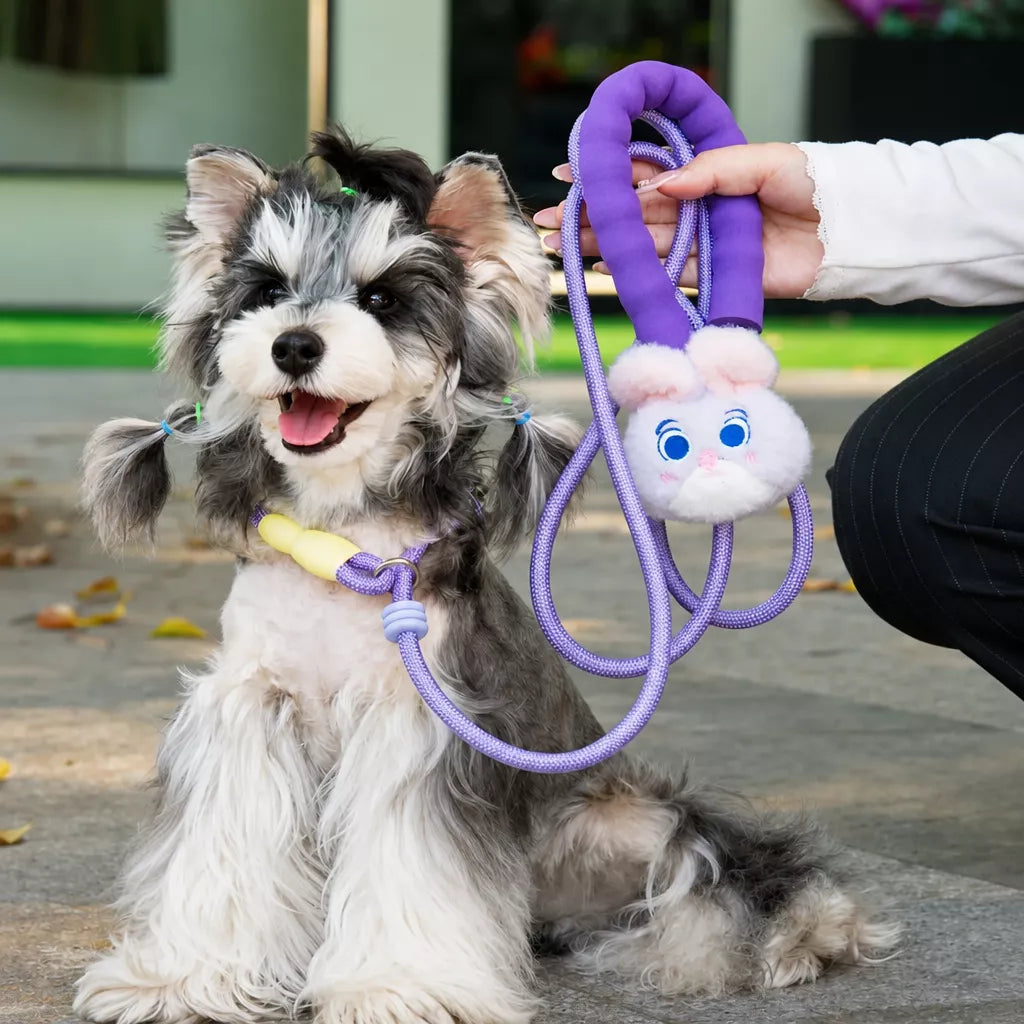 Nylon Slip Lead Dog Leash with Comfort Grip for Training