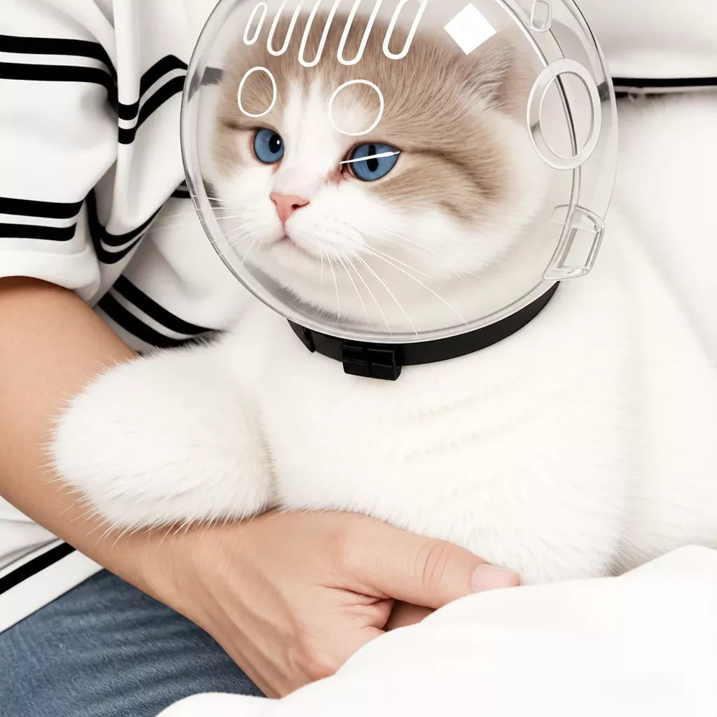Clear Plastic Cat Elizabethan Collar